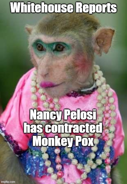 Monkey Pox | Whitehouse Reports; Nancy Pelosi has contracted Monkey Pox | image tagged in monkey make up,pelosi | made w/ Imgflip meme maker