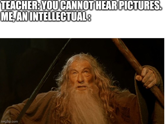 Shout out to my dad | TEACHER: YOU CANNOT HEAR PICTURES.
ME, AN INTELLECTUAL : | image tagged in gandalf,lotr | made w/ Imgflip meme maker