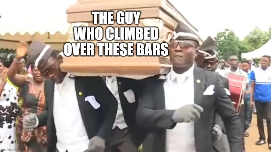 Coffin Dance | THE GUY WHO CLIMBED OVER THESE BARS | image tagged in coffin dance | made w/ Imgflip meme maker