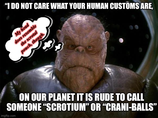Ball Head guy | “I DO NOT CARE WHAT YOUR HUMAN CUSTOMS ARE, My head does resemble the scrotal pouch, though. ON OUR PLANET IT IS RUDE TO CALL SOMEONE “SCROTIUM” OR “CRANI-BALLS” | image tagged in star trek,aliens,balls,head | made w/ Imgflip meme maker