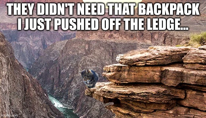 Pushy Cat | THEY DIDN'T NEED THAT BACKPACK I JUST PUSHED OFF THE LEDGE... | image tagged in funny cats | made w/ Imgflip meme maker
