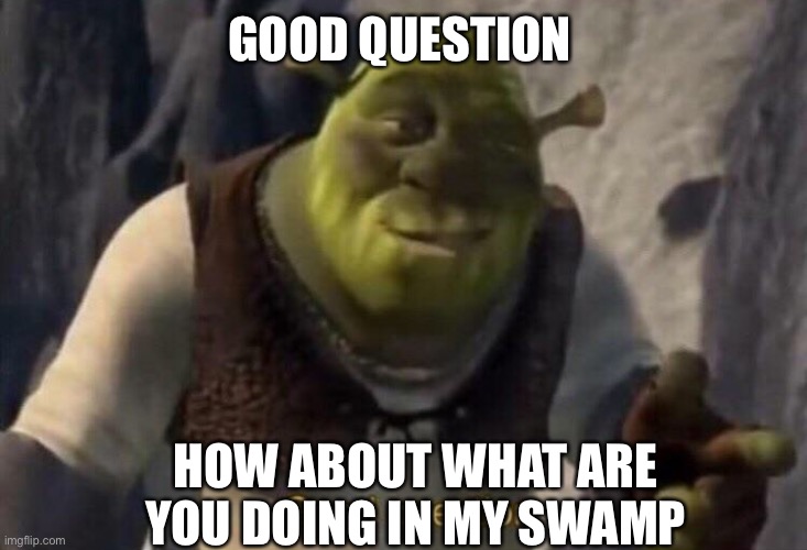 Shrek good question | GOOD QUESTION HOW ABOUT WHAT ARE YOU DOING IN MY SWAMP | image tagged in shrek good question | made w/ Imgflip meme maker
