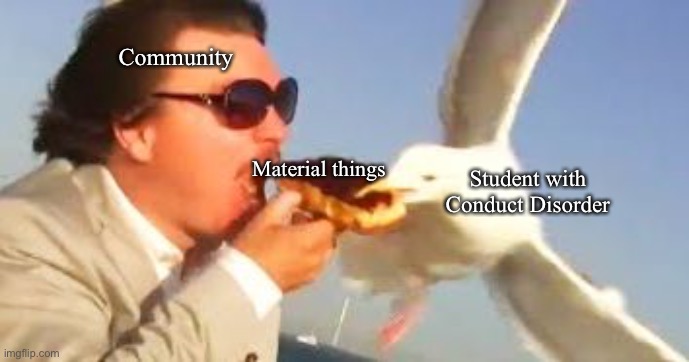 It do be true | Community; Material things; Student with Conduct Disorder | image tagged in swiping seagull,steal,shook it,thief | made w/ Imgflip meme maker