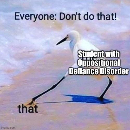 ODD be like | Student with Oppositional Defiance Disorder | image tagged in opposite,oppositional,defiance,disorder,adhd | made w/ Imgflip meme maker