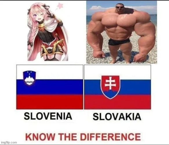 I can confirm as a slovak | made w/ Imgflip meme maker