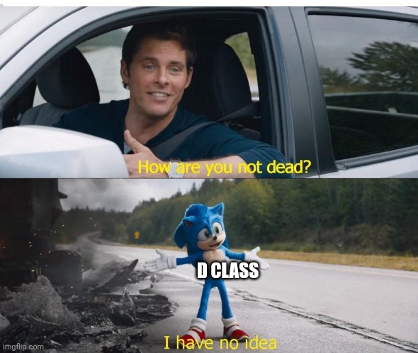 sonic how are you not dead | D CLASS | image tagged in sonic how are you not dead | made w/ Imgflip meme maker