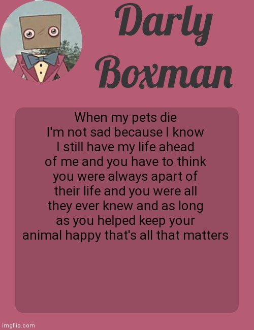 Darly Boxman temp | When my pets die I'm not sad because I know I still have my life ahead of me and you have to think you were always apart of their life and you were all they ever knew and as long as you helped keep your animal happy that's all that matters | image tagged in darly boxman temp | made w/ Imgflip meme maker