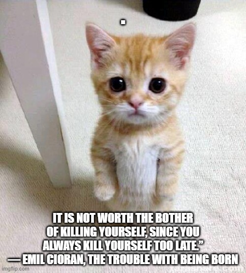 Cioran | . IT IS NOT WORTH THE BOTHER OF KILLING YOURSELF, SINCE YOU ALWAYS KILL YOURSELF TOO LATE.”
― EMIL CIORAN, THE TROUBLE WITH BEING BORN | image tagged in memes,cute cat | made w/ Imgflip meme maker
