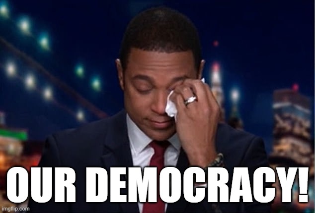 I weep for our nation too | OUR DEMOCRACY! | image tagged in don lemon,democracy,crying,memes | made w/ Imgflip meme maker