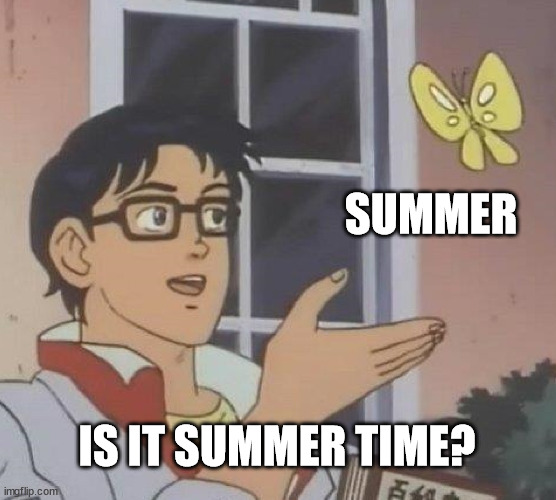 It's summer time | SUMMER; IS IT SUMMER TIME? | image tagged in memes,is this a pigeon | made w/ Imgflip meme maker