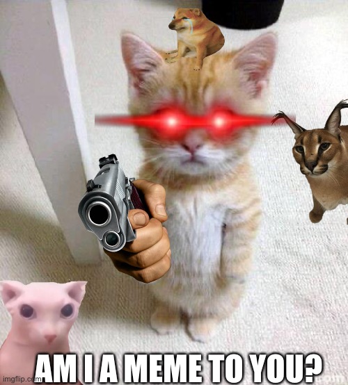 Cute Cat | AM I A MEME TO YOU? | image tagged in memes,cute cat | made w/ Imgflip meme maker