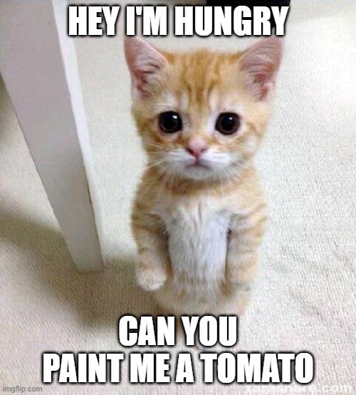 This happens at least once a day | HEY I'M HUNGRY; CAN YOU PAINT ME A TOMATO | image tagged in memes,cute cat,kirby | made w/ Imgflip meme maker