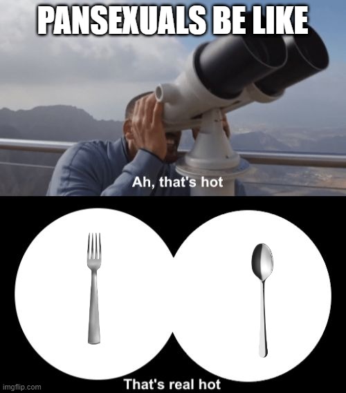 That’s Hot | PANSEXUALS BE LIKE | image tagged in that s hot | made w/ Imgflip meme maker