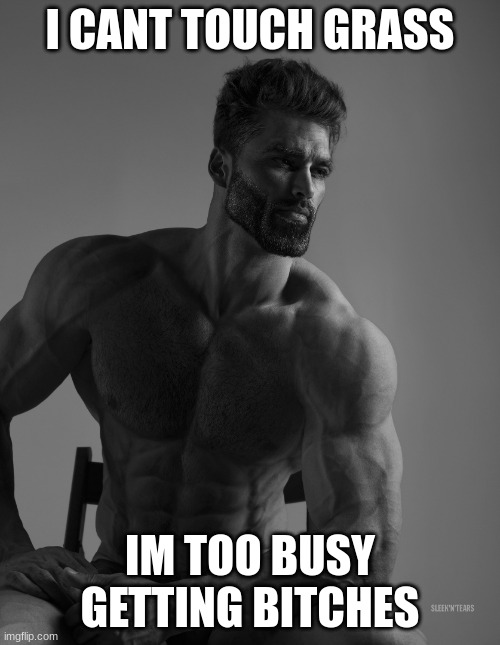 Giga Chad | I CANT TOUCH GRASS; IM TOO BUSY GETTING BITCHES | image tagged in giga chad | made w/ Imgflip meme maker