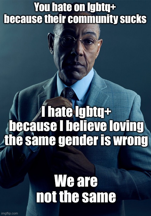Gus Fring we are not the same | You hate on lgbtq+ because their community sucks; I hate lgbtq+ because I believe loving the same gender is wrong; We are not the same | image tagged in gus fring we are not the same | made w/ Imgflip meme maker