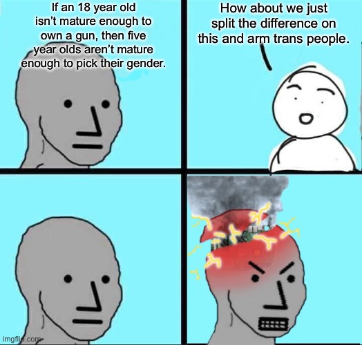 Arm Trans People | If an 18 year old isn’t mature enough to own a gun, then five year olds aren’t mature enough to pick their gender. How about we just split the difference on this and arm trans people. | image tagged in npc meme,transgender,lgbtq,gun control,2nd amendment | made w/ Imgflip meme maker