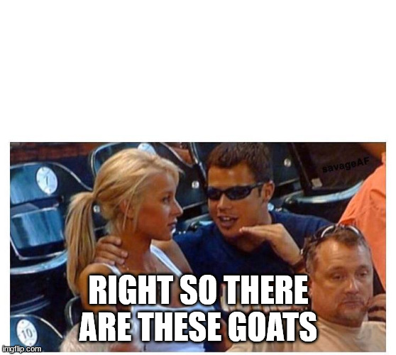 Invest in Houston Astros neck grab guy | RIGHT SO THERE ARE THESE GOATS | image tagged in invest in houston astros neck grab guy | made w/ Imgflip meme maker