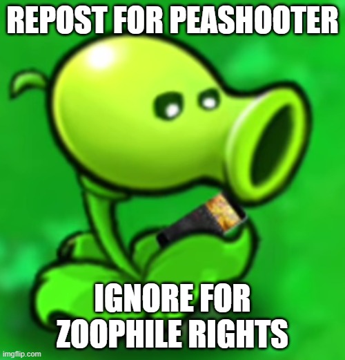 Peashooter looking at his phone | REPOST FOR PEASHOOTER; IGNORE FOR ZOOPHILE RIGHTS | image tagged in peashooter looking at his phone | made w/ Imgflip meme maker
