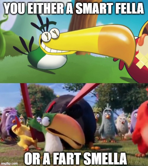 Hal Designs Be Like: | YOU EITHER A SMART FELLA; OR A FART SMELLA | image tagged in angry birds,hal,fart smella,smart fella | made w/ Imgflip meme maker