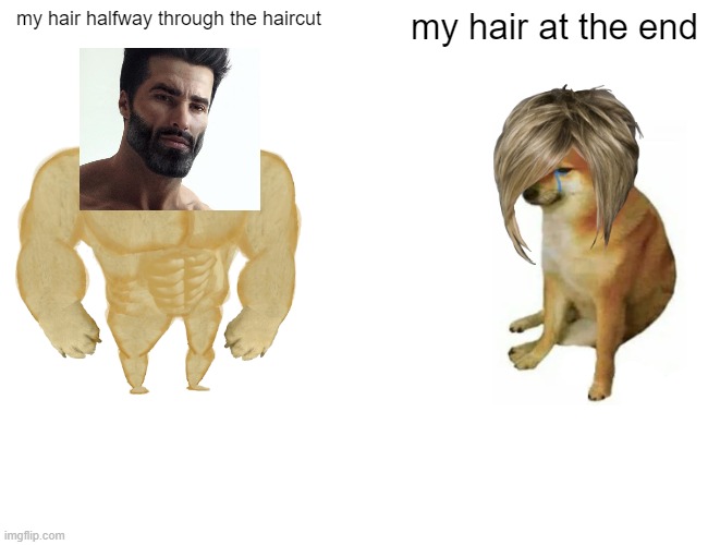 Buff Doge vs. Cheems | my hair halfway through the haircut; my hair at the end | image tagged in memes,buff doge vs cheems | made w/ Imgflip meme maker