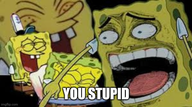 Hysterical Spongbob Laughter | YOU STUPID | image tagged in hysterical spongbob laughter | made w/ Imgflip meme maker
