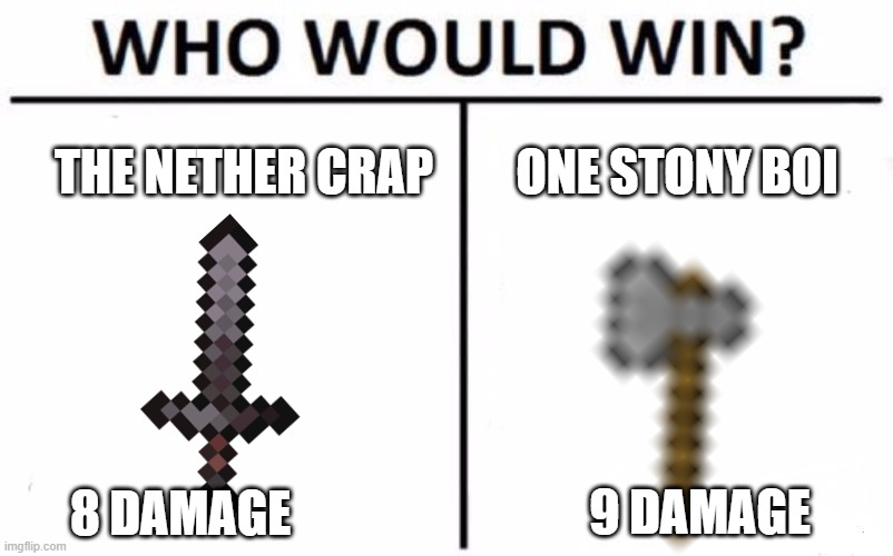 Who Would Win? Meme | THE NETHER CRAP; ONE STONY BOI; 9 DAMAGE; 8 DAMAGE | image tagged in memes,who would win | made w/ Imgflip meme maker