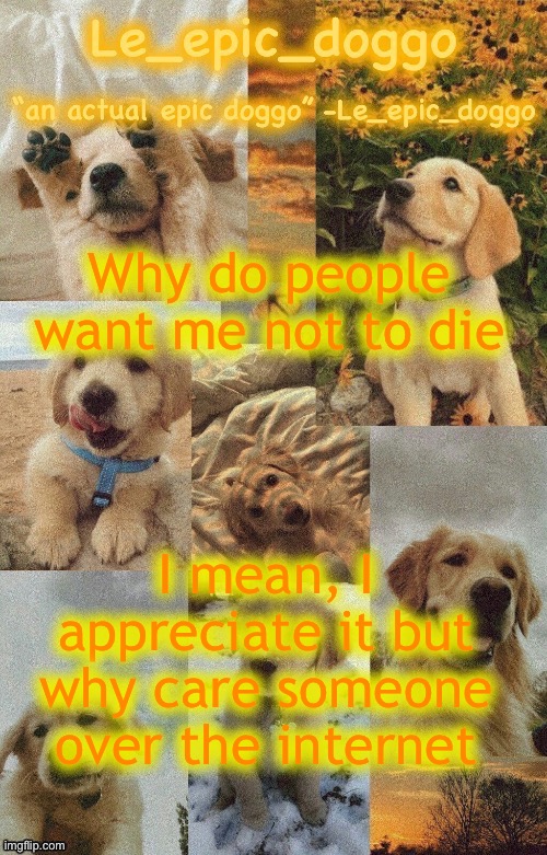 Doggo temp by doggo. Wait what that’s confusing | Why do people want me not to die; I mean, I appreciate it but why care someone over the internet | image tagged in doggo temp by doggo wait what that s confusing | made w/ Imgflip meme maker