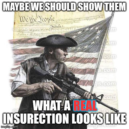 Not actually advocating this, but calling Jan 6 an "insurection" is ludicrous | MAYBE WE SHOULD SHOW THEM; REAL; WHAT A REAL INSURECTION LOOKS LIKE | image tagged in american patriot | made w/ Imgflip meme maker
