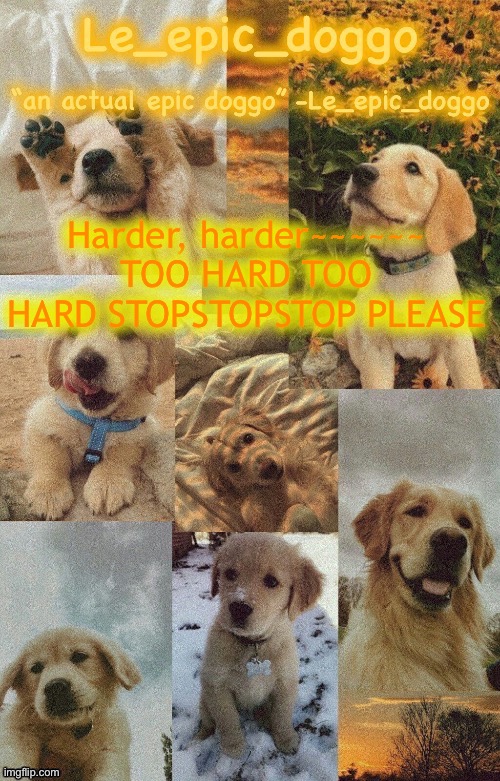Doggo temp by doggo. Wait what that’s confusing | Harder, harder~~~~~~
TOO HARD TOO HARD STOPSTOPSTOP PLEASE | image tagged in doggo temp by doggo wait what that s confusing | made w/ Imgflip meme maker