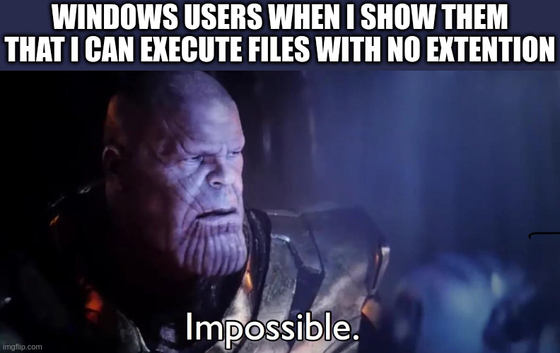 you should install linux btw | WINDOWS USERS WHEN I SHOW THEM THAT I CAN EXECUTE FILES WITH NO EXTENTION | image tagged in thanos impossible,linux,computers,computer,thanos,impossible | made w/ Imgflip meme maker