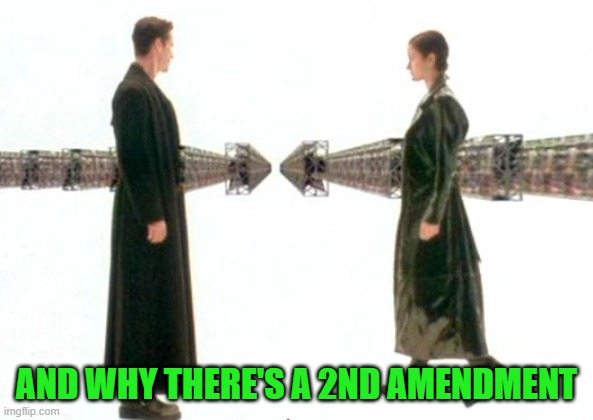 Matrix Guns Lots of Guns | AND WHY THERE'S A 2ND AMENDMENT | image tagged in matrix guns lots of guns | made w/ Imgflip meme maker