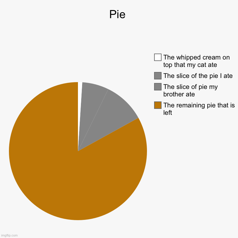 Pie | The remaining pie that is left, The slice of pie my brother ate, The slice of the pie I ate, The whipped cream on top that my cat ate | image tagged in charts,pie charts | made w/ Imgflip chart maker