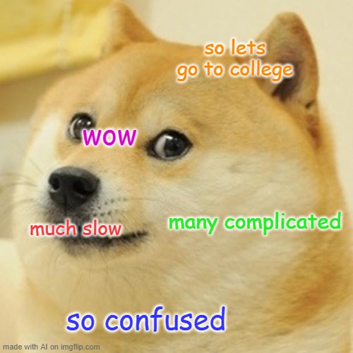 College | so lets go to college; wow; many complicated; much slow; so confused | image tagged in memes,doge | made w/ Imgflip meme maker