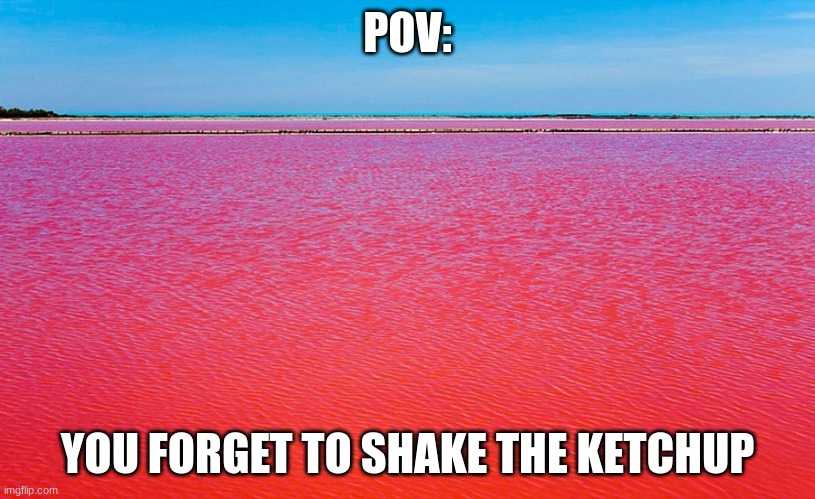 red lake meme | POV:; YOU FORGET TO SHAKE THE KETCHUP | image tagged in red lake meme | made w/ Imgflip meme maker