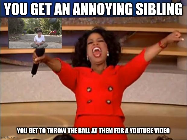 YOU GET AN ANNYOING SILBING | YOU GET AN ANNOYING SIBLING; YOU GET TO THROW THE BALL AT THEM FOR A YOUTUBE VIDEO | image tagged in memes,oprah you get a | made w/ Imgflip meme maker