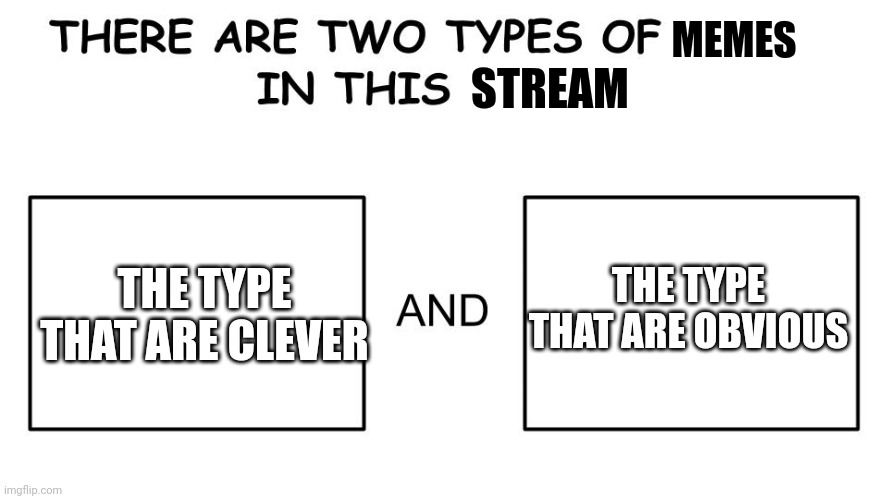 Sometimes there really clever but other times it's just describing the meme template | MEMES; STREAM; THE TYPE THAT ARE OBVIOUS; THE TYPE THAT ARE CLEVER | image tagged in there are two types of people in this world | made w/ Imgflip meme maker