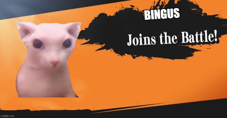 BINGUS |  BINGUS | image tagged in bingus | made w/ Imgflip meme maker