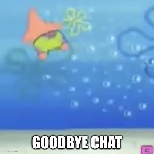 pat cork flyne | GOODBYE CHAT | image tagged in pat cork flyne | made w/ Imgflip meme maker