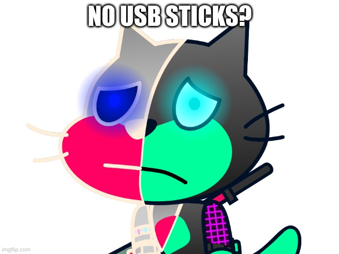 No USB Sticks? | NO USB STICKS? | image tagged in no bitches,megamind no bitches | made w/ Imgflip meme maker