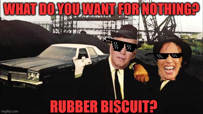 blues brothers | WHAT DO YOU WANT FOR NOTHING? RUBBER BISCUIT? | image tagged in blues brothers | made w/ Imgflip meme maker