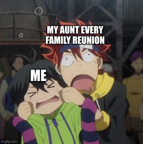 MY AUNT EVERY FAMILY REUNION; ME | image tagged in family,anime,sk8 the infinity | made w/ Imgflip meme maker