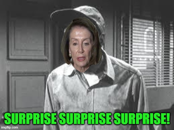 Gomer Pyle | SURPRISE SURPRISE SURPRISE! | image tagged in gomer pyle | made w/ Imgflip meme maker