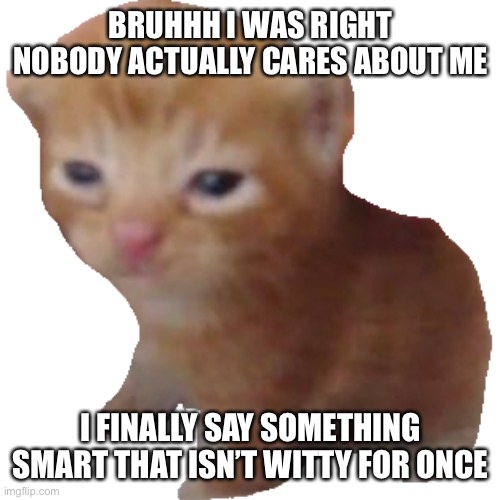 Feeling horrible rn | BRUHHH I WAS RIGHT NOBODY ACTUALLY CARES ABOUT ME; I FINALLY SAY SOMETHING SMART THAT ISN’T WITTY FOR ONCE | image tagged in herbert | made w/ Imgflip meme maker