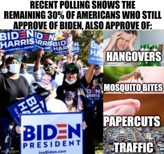 Recent Polling Shows What The Remaining 30% Of Americans Who Still Approve Of Biden Also Approve | RECENT POLLING SHOWS THE REMAINING 30% OF AMERICANS WHO STILL APPROVE OF BIDEN, ALSO APPROVE OF:; HANGOVERS; MOSQUITO BITES; PAPERCUTS; TRAFFIC | image tagged in polls,americans,approval,biden | made w/ Imgflip meme maker