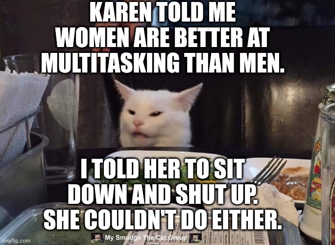 KAREN TOLD ME WOMEN ARE BETTER AT MULTITASKING THAN MEN. I TOLD HER TO SIT DOWN AND SHUT UP. SHE COULDN'T DO EITHER. | image tagged in smudge the cat,woman yelling at cat | made w/ Imgflip meme maker