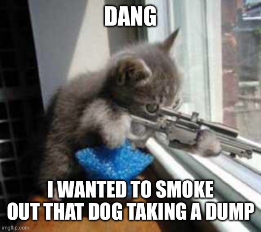 CatSniper | DANG I WANTED TO SMOKE OUT THAT DOG TAKING A DUMP | image tagged in catsniper | made w/ Imgflip meme maker