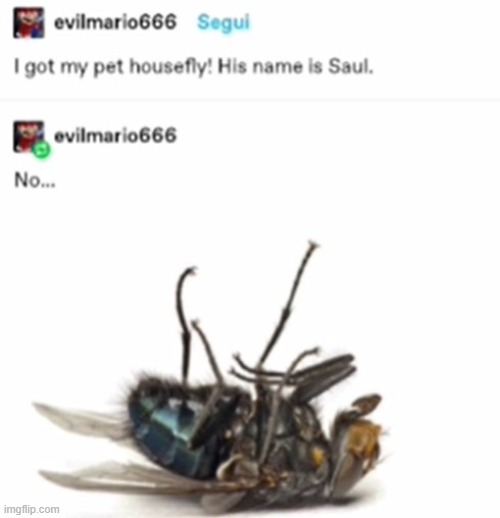 No... | made w/ Imgflip meme maker