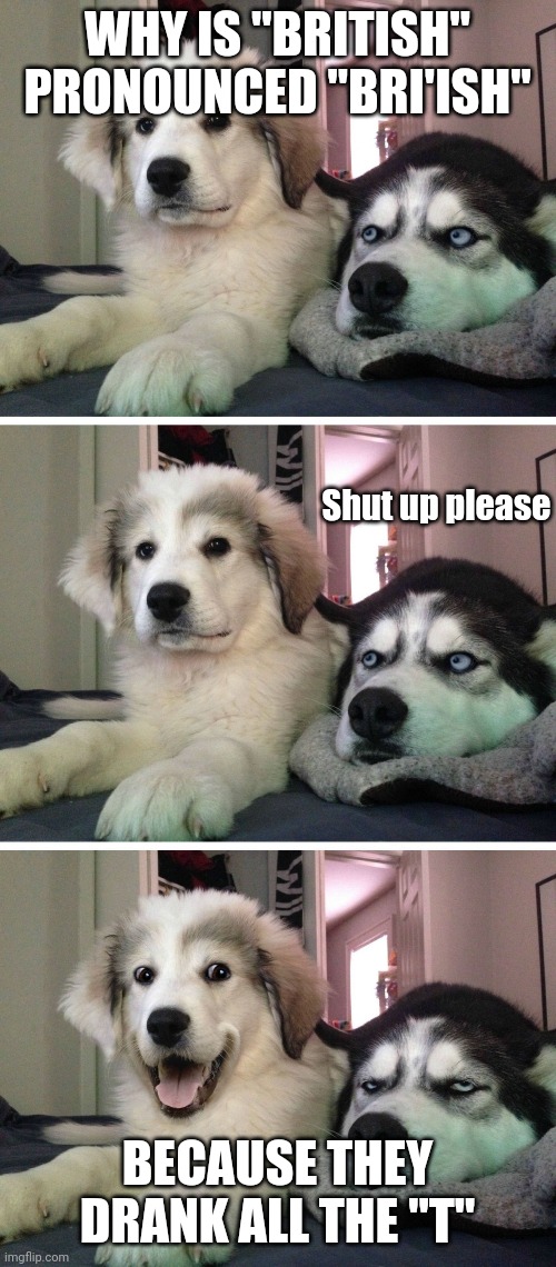drank | WHY IS "BRITISH" PRONOUNCED "BRI'ISH"; Shut up please; BECAUSE THEY DRANK ALL THE "T" | image tagged in dog jokes | made w/ Imgflip meme maker