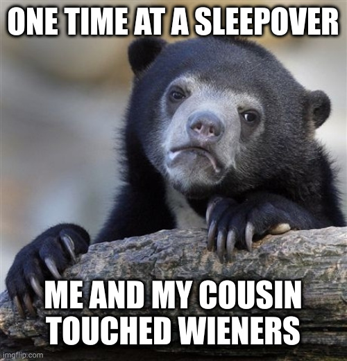 They were delicious but putting them in each other's mouths just filled us with guilt and shame | ONE TIME AT A SLEEPOVER; ME AND MY COUSIN TOUCHED WIENERS | image tagged in memes,confession bear | made w/ Imgflip meme maker
