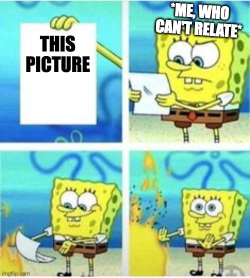 not true | THIS PICTURE *ME, WHO CAN'T RELATE* | image tagged in not true | made w/ Imgflip meme maker